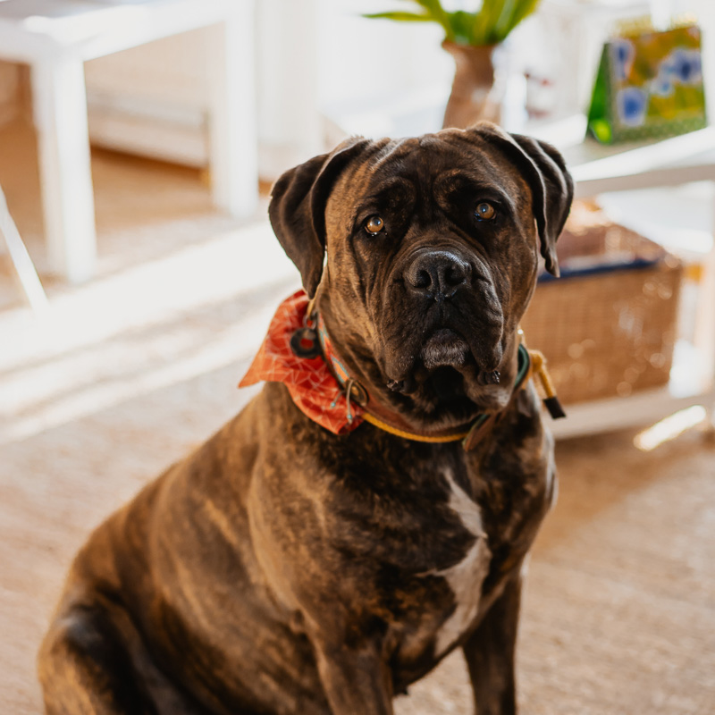 Hilde – WandelRaum® Praxis für Psychotherapie
